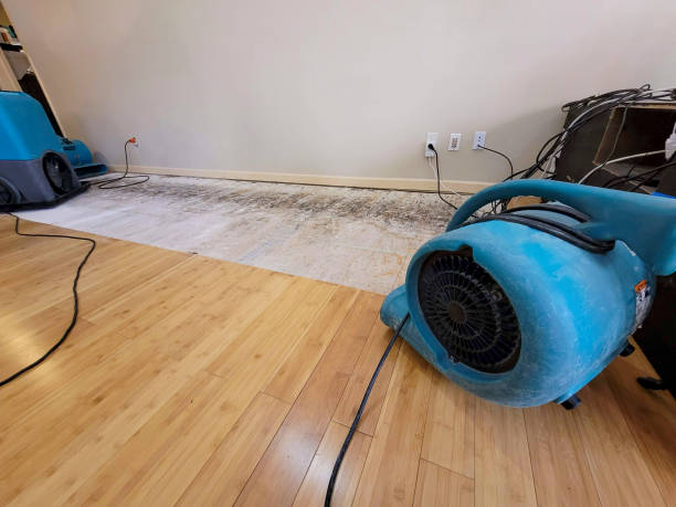 Professional Basement Flood Cleanup technician working in Llano, CA